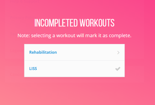 Kayla Itsines Workout Guide Review