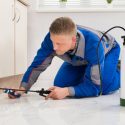 5 Reasons To Hire An Extermination Service